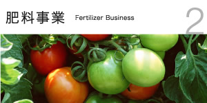 肥料事業　Fertilizer Business